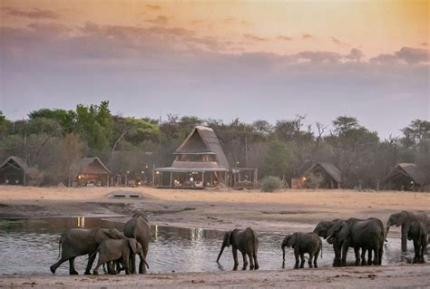 wankil|zimbabwe hwange national park.